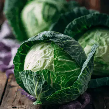 Cabbage and potatoes