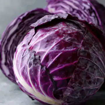 cabbage recipe